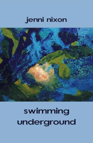 Cover of the book swimming underground by Pippa Kay