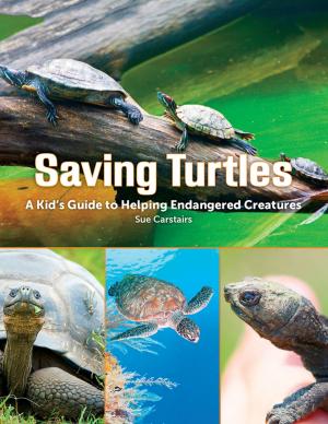 Cover of the book Saving Turtles by Stephen Leahy