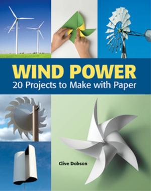 bigCover of the book Wind Power by 