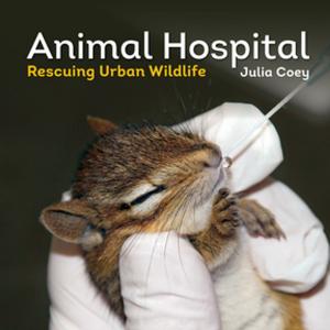 Cover of the book Animal Hospital by Richard Beliveau, Denis Gingras