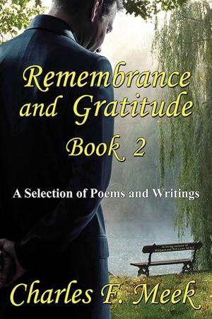 Cover of the book Remembrance and Gratitude Book 2 by Patricia Amis