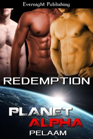 Cover of the book Redemption by Naomi Clark