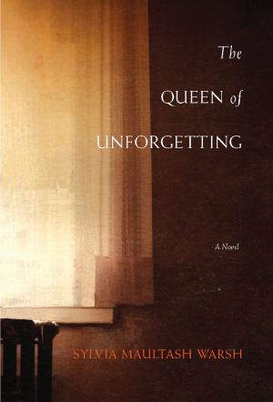 Book cover of The Queen of Unforgetting