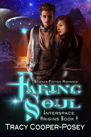 Cover of the book Faring Soul by KB Winters