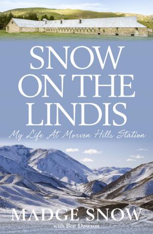 Cover of the book Snow On the Lindis by Cameron Petley