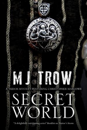 Cover of the book Secret World by A.J. Cross