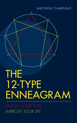 Cover of the book The 12-Type Enneagram by Ferrett Steinmetz