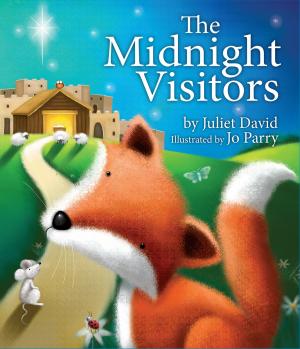 Cover of the book The Midnight Visitors by Simon Atkins
