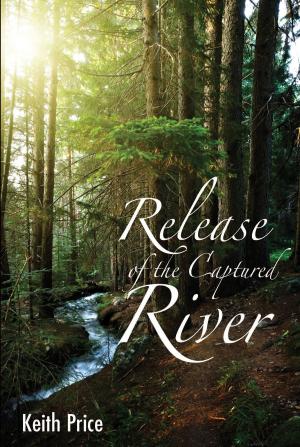 Cover of the book Release of the Captured River by K.C. Dowling