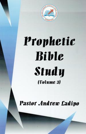 Cover of the book Prophetic Bible Study - Volume 3 by Brian Alford