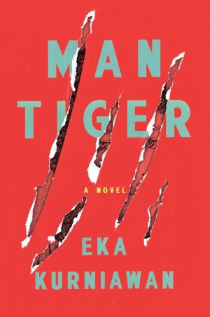 Book cover of Man Tiger