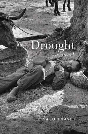 Cover of the book Drought by Nancy Fraser, Axel Honneth