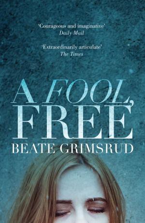 Cover of the book A Fool, Free by Meg Hutchinson