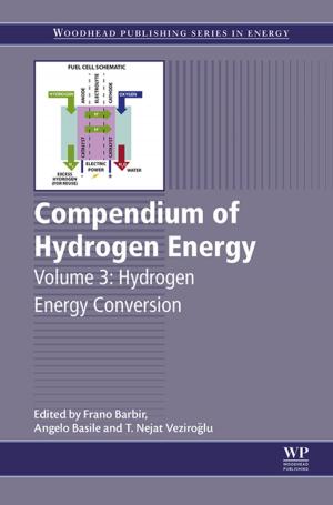 Cover of the book Compendium of Hydrogen Energy by Marius-Cristian Frunza