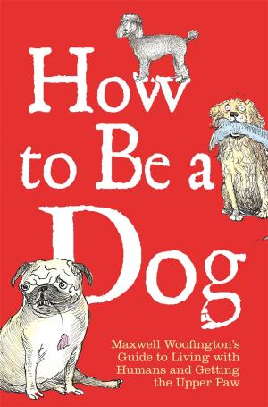 Cover of the book How to Be a Dog by Clive Gifford