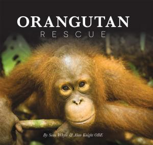 bigCover of the book Orangutan Rescue by 