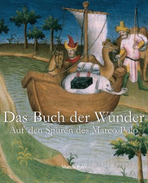 Book cover of Das Buch der Wunder