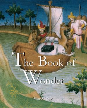 Cover of the book The Book of Wonder by Edmund von Mach