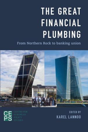 Book cover of The Great Financial Plumbing