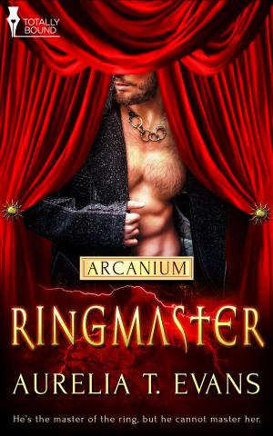 Cover of the book Ringmaster by Vonna Harper