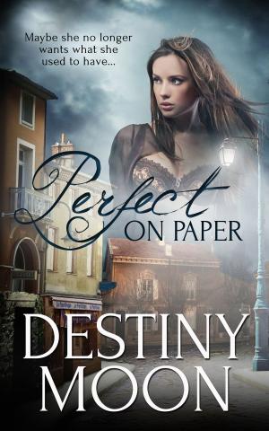 Cover of the book Perfect on Paper by Crissy Smith