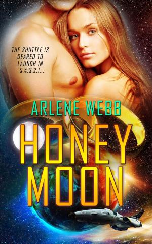 bigCover of the book Honey Moon by 