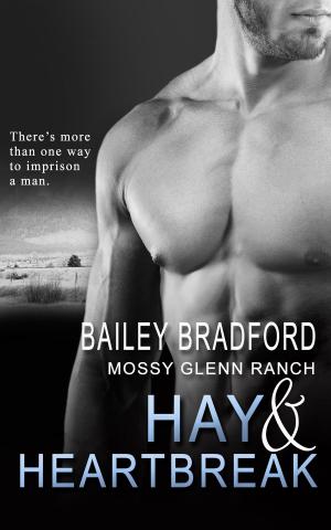 Cover of the book Hay and Heartbreak by Allen Dusk
