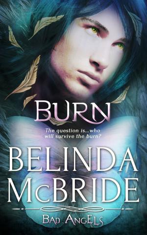 Cover of the book Burn by AKM Miles