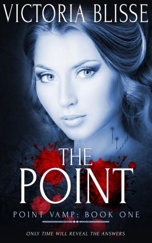 Cover of the book The Point by Anarie Brady