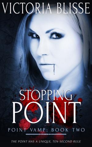 Cover of the book Stopping Point by Mina Dorian