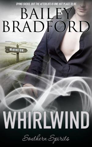Cover of the book Whirlwind by Chad Lane