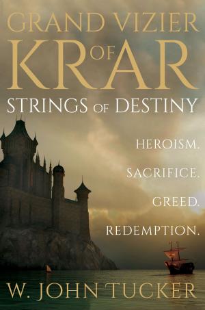 Cover of the book Grand Vizier of Krar by Meg Campbell