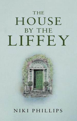Cover of the book The House by the Liffey by Barbara Kastelin