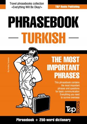 Book cover of English-Turkish phrasebook and 250-word mini dictionary