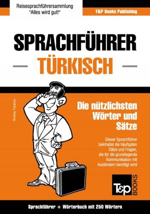 Cover of the book Sprachführer Deutsch-Türkisch und Mini-Wörterbuch mit 250 Wörtern by Andrey Taranov