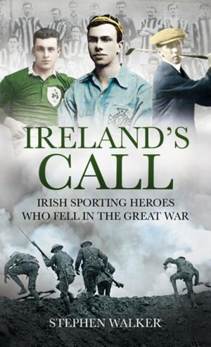 Cover of the book Ireland’s Call by Eoin Swithin Walsh, Diarmaid Ferriter