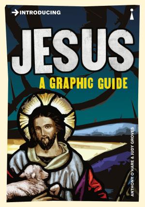Cover of the book Introducing Jesus by Brian Clegg