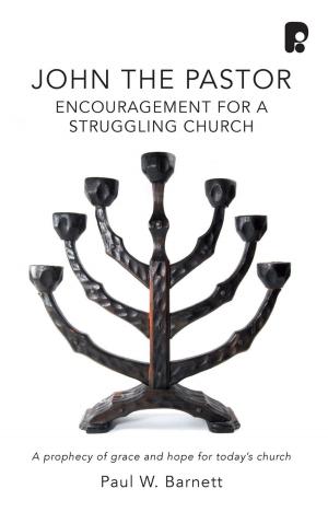 Cover of the book John the Pastor: Encouragement for a Struggling Church by Rob Joy
