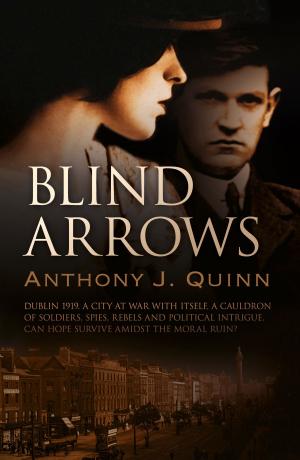 Cover of the book Blind Arrows by Nik Cohn