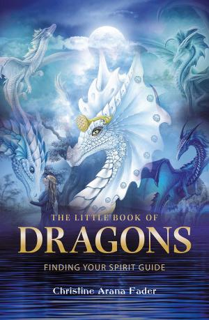 Cover of the book The Little Book of Dragons by Shanddaramon