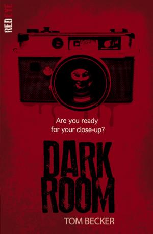 Cover of the book Dark Room by Kelly McKain