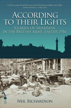 Cover of the book According To Their Lights: Irish Soldiers in the British Army during the Easter Rising, 1916 by Michael Carney, Gerard Hayes