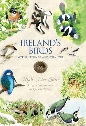 Cover of the book Ireland's Birds – Myths, Legends & Folklore by Derek Molyneux, Darren Kelly