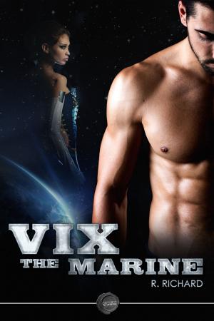 Cover of the book Vix: The Marine by Dan Andriacco