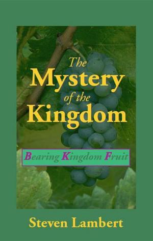 Book cover of The Mystery of the Kingdom