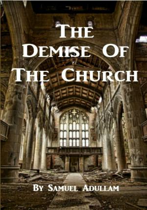 Cover of the book The Demise Of The Church by Vernon Rodgers
