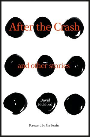 Cover of the book After the Crash by Frank Smythe