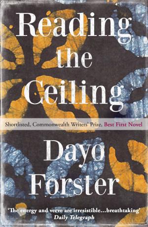 Cover of the book Reading The Ceiling by Francis Vivian