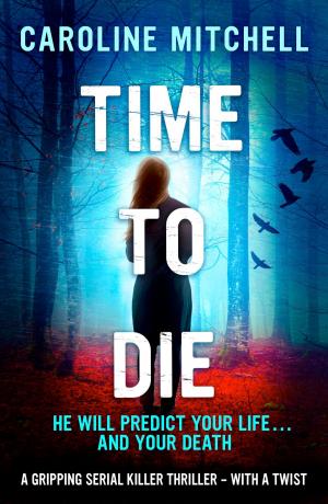 Cover of the book Time to Die by Jess Ryder