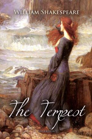 Cover of the book The Tempest by Franklin A. Díaz Lárez